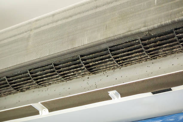 Best Affordable Air Duct Cleaning  in Clifton, TX
